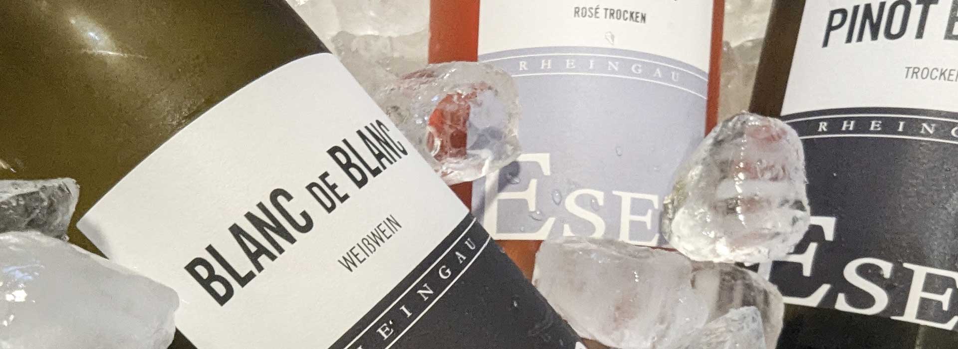 weingut brueder eser rheingau kollektion easy drinking riesling