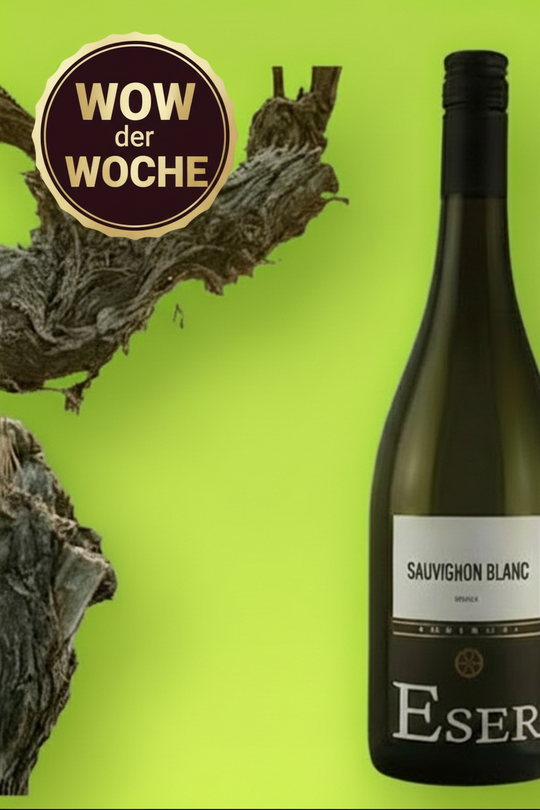 2023 | SAUVIGNON BLANC Trocken
